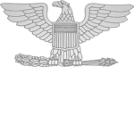 The United state Аrmy.