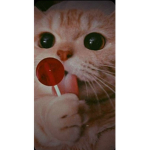 le_scr4us3_