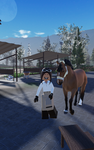 Wild Dimond stable