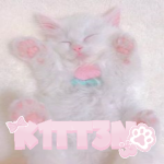 :3 DHC