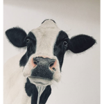 da cow gurlz