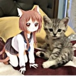zulki