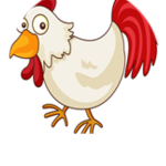 The Chikens.