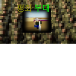 E_E 평화부대