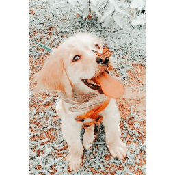 ♡