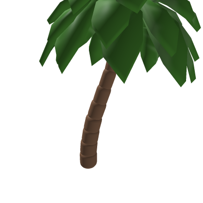 plam tree