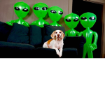 alien club gnag