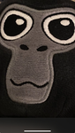 Coolkidisreallycool