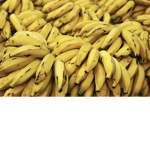 bAnAnAs_SEpsIs