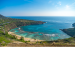 Hawaii's Group