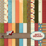 Amy's Designs And Magazine Company
