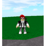 The Zooming Zombie Zebras Squad