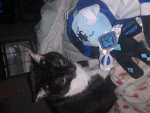 Mama cat shrine group