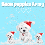 snow puppies Army