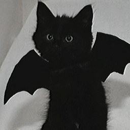 𝐲𝐨𝐮'𝐫𝐞