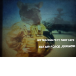 •Rat Airforce•