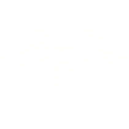 Glowing Emissive Spawn Wings