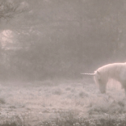 Ethereal Unicorn Winter Snow Forest Emo Background