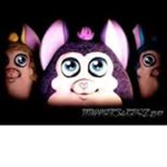 Tattle Tail Fan Group