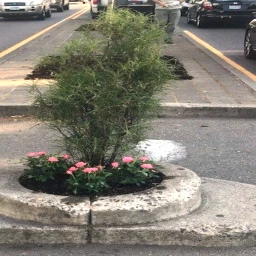 World Smallest Park icon