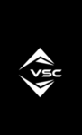 VSC Defense consultancy