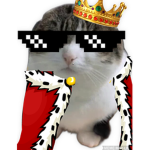 Bubbles and meep kingdom