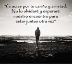 Chatd8