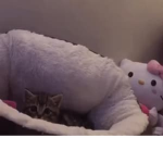 Limited Love <3