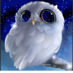 Owl Famliy