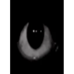 Fnf Fan-Made Bob Run icon