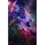 Apic_aslum’s