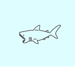 Shark's clothings