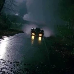 A forest outisde of Gotham. icon