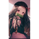 Demon slayer_fans