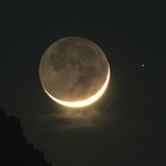 ~[Moonlight]~