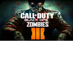 Call Of duty Zombies.