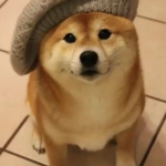 Vbhdtyjyfujjrtyjdythsrtbtrbhh
