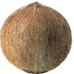 Coconut Games