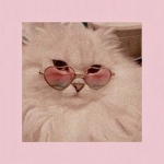 ~*.+GØSSIP+.*~