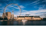 London Turfs