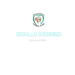 SEDE JAGUARES FC icon