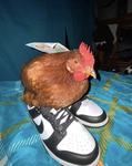 SILLY NUGGIES