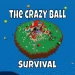 The Crazy Ball Survival icon