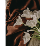 Rose petal clothing store