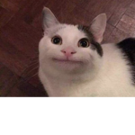 That1Cat YT
