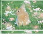 [** Oreoo squad group **]