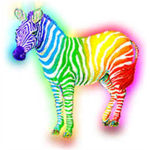 Rainbow zebra group