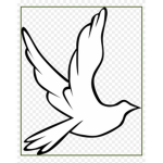 Pigeon Inc