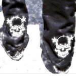 GOTHSINS