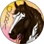GoldStar Riding Academy Group Thumbnail